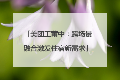 美团王莆中：跨场景融合激发住宿新需求