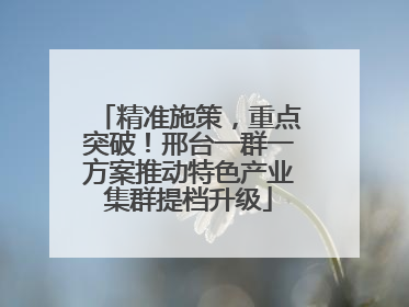 精准施策，重点突破！邢台一群一方案推动特色产业集群提档升级