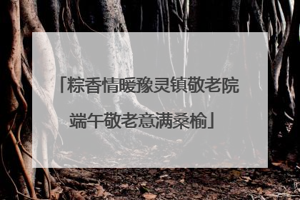 粽香情暖豫灵镇敬老院 端午敬老意满桑榆