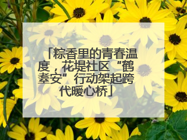 粽香里的青春温度，花堤社区“鹤耋安”行动架起跨代暖心桥