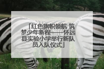 红色旗帜领航 筑梦少年新程——怀远县实验小学举行新队员入队仪式