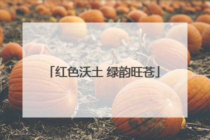 红色沃土 绿韵旺苍