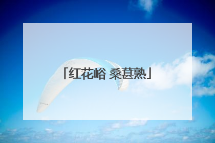 红花峪 桑葚熟