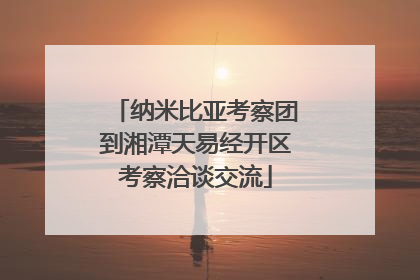 纳米比亚考察团到湘潭天易经开区考察洽谈交流