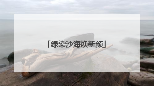 绿染沙海焕新颜