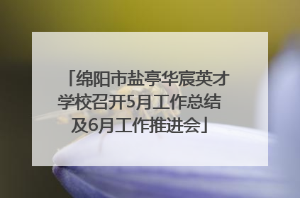 绵阳市盐亭华宸英才学校召开5月工作总结及6月工作推进会