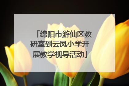 绵阳市游仙区教研室到云凤小学开展教学视导活动