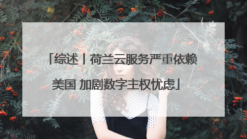 综述丨荷兰云服务严重依赖美国 加剧数字主权忧虑