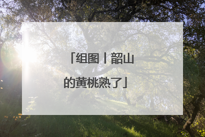 组图丨韶山的黄桃熟了