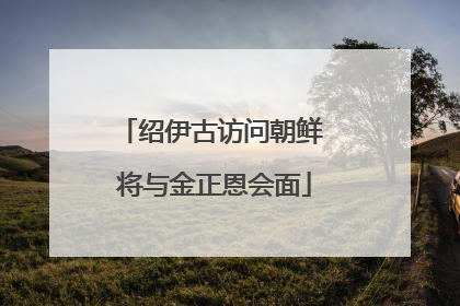 绍伊古访问朝鲜 将与金正恩会面