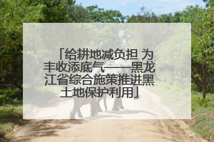 给耕地减负担 为丰收添底气——黑龙江省综合施策推进黑土地保护利用