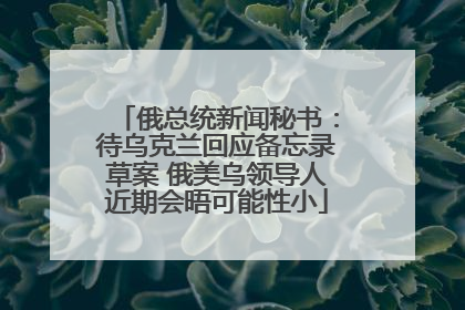 俄总统新闻秘书：待乌克兰回应备忘录草案 俄美乌领导人近期会晤可能性小