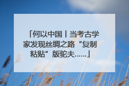 何以中国丨当考古学家发现丝绸之路“复制粘贴”版驼夫……