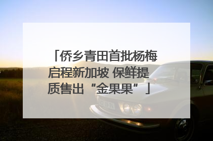 侨乡青田首批杨梅启程新加坡 保鲜提质售出“金果果”