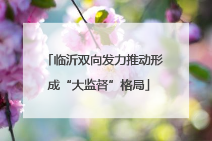 临沂双向发力推动形成“大监督”格局