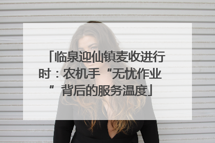 临泉迎仙镇麦收进行时：农机手“无忧作业”背后的服务温度