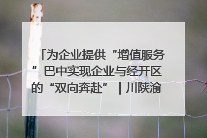 为企业提供“增值服务”巴中实现企业与经开区的“双向奔赴”｜川陕渝网络名人巴中行