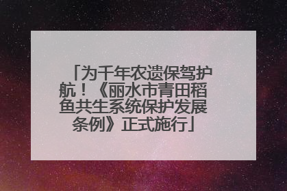 为千年农遗保驾护航！《丽水市青田稻鱼共生系统保护发展条例》正式施行