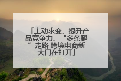 主动求变、提升产品竞争力、“多条腿”走路 跨境电商新大门在打开