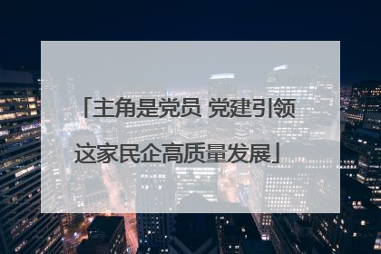 主角是党员 党建引领这家民企高质量发展