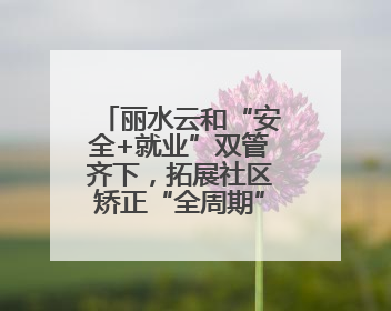 丽水云和“安全+就业”双管齐下，拓展社区矫正“全周期”管理新路径