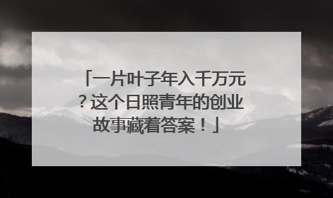 一片叶子年入千万元？这个日照青年的创业故事藏着答案！
