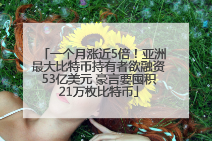 一个月涨近5倍！亚洲最大比特币持有者欲融资53亿美元 豪言要囤积21万枚比特币