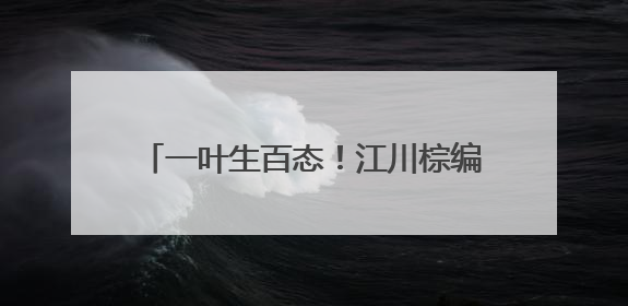 一叶生百态！江川棕编非遗里的“动物世界”