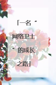 一名“网络卫士”的成长之路