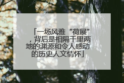 一场风雅“荷展”，背后是相隔千里两地的渊源和令人感动的历史人文情怀