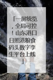 一屏统览，全局可控！山东港口日照港粮食码头数字孪生平台上线