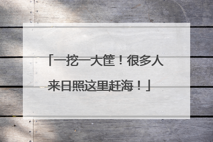 一挖一大筐！很多人来日照这里赶海！