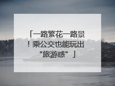 一路繁花一路景！乘公交也能玩出“旅游感”