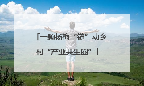 一颗杨梅“链”动乡村“产业共生圈”