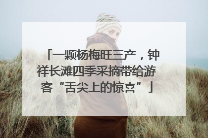 一颗杨梅旺三产，钟祥长滩四季采摘带给游客“舌尖上的惊喜”