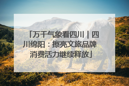 万千气象看四川｜四川绵阳：擦亮文旅品牌 消费活力继续释放