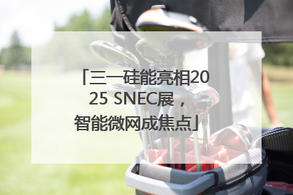 三一硅能亮相2025 SNEC展，智能微网成焦点