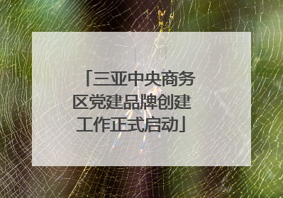 三亚中央商务区党建品牌创建工作正式启动