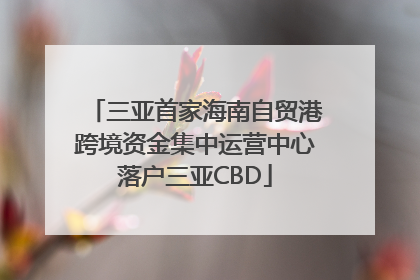 三亚首家海南自贸港跨境资金集中运营中心落户三亚CBD