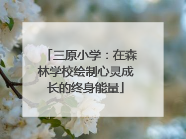 三原小学：在森林学校绘制心灵成长的终身能量