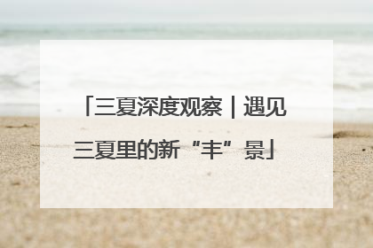 三夏深度观察｜遇见三夏里的新“丰”景