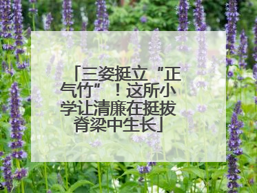 三姿挺立“正气竹”！这所小学让清廉在挺拔脊梁中生长