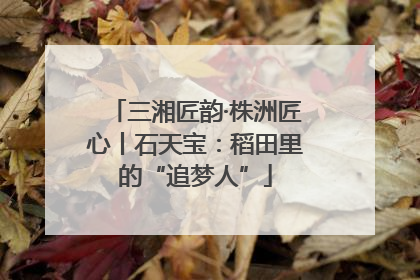 三湘匠韵·株洲匠心丨石天宝：稻田里的“追梦人”