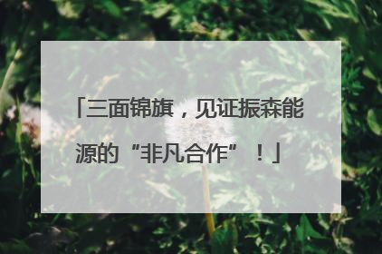 三面锦旗，见证振森能源的“非凡合作”！