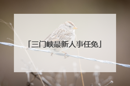 三门峡最新人事任免