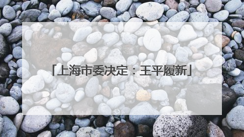 上海市委决定：王平履新