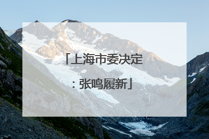 上海市委决定：张鸣履新
