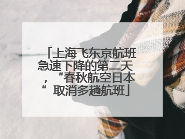 上海飞东京航班急速下降的第二天，“春秋航空日本”取消多趟航班