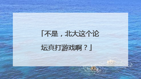 不是，北大这个论坛真打游戏啊？