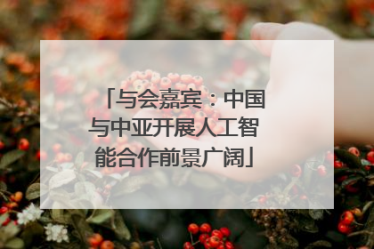 与会嘉宾：中国与中亚开展人工智能合作前景广阔
